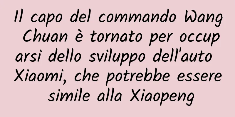 Il capo del commando Wang Chuan è tornato per occuparsi dello sviluppo dell'auto Xiaomi, che potrebbe essere simile alla Xiaopeng