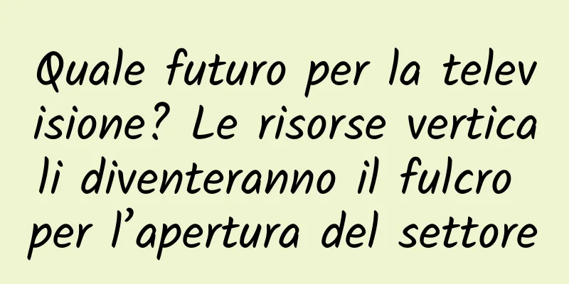 Quale futuro per la televisione? Le risorse verticali diventeranno il fulcro per l’apertura del settore