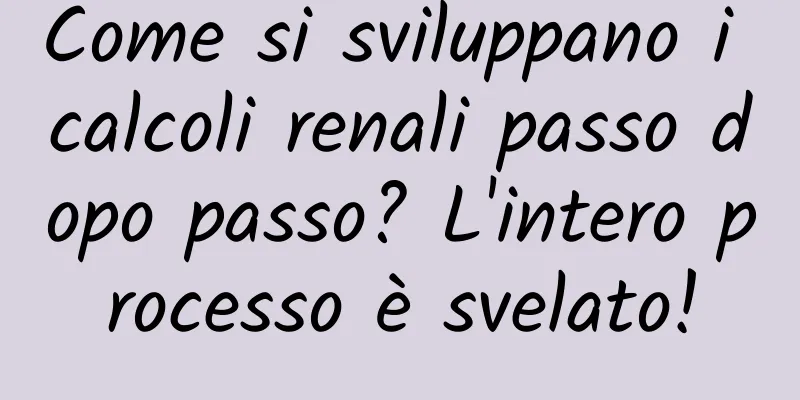 Come si sviluppano i calcoli renali passo dopo passo? L'intero processo è svelato!