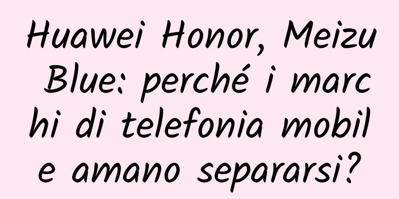 Huawei Honor, Meizu Blue: perché i marchi di telefonia mobile amano separarsi?