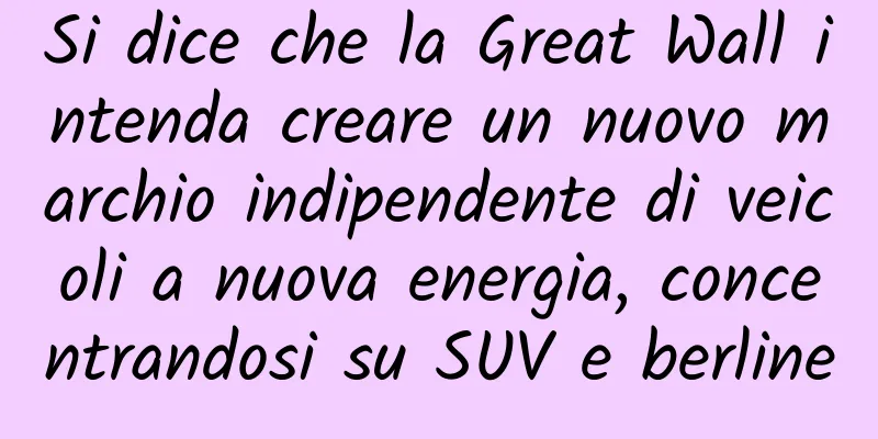 Si dice che la Great Wall intenda creare un nuovo marchio indipendente di veicoli a nuova energia, concentrandosi su SUV e berline