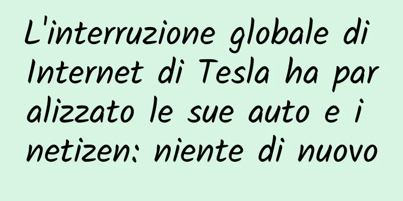 L'interruzione globale di Internet di Tesla ha paralizzato le sue auto e i netizen: niente di nuovo
