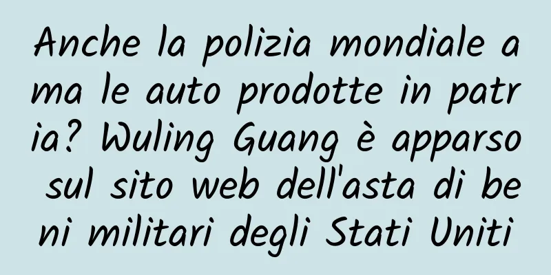 Anche la polizia mondiale ama le auto prodotte in patria? Wuling Guang è apparso sul sito web dell'asta di beni militari degli Stati Uniti