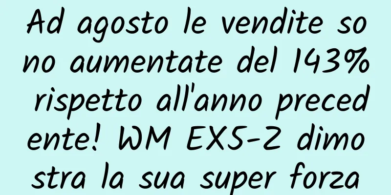 Ad agosto le vendite sono aumentate del 143% rispetto all'anno precedente! WM EX5-Z dimostra la sua super forza