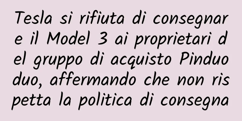 Tesla si rifiuta di consegnare il Model 3 ai proprietari del gruppo di acquisto Pinduoduo, affermando che non rispetta la politica di consegna