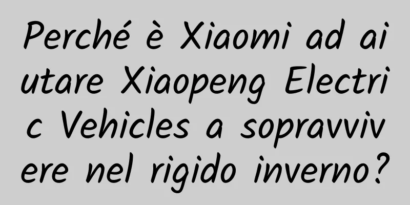 Perché è Xiaomi ad aiutare Xiaopeng Electric Vehicles a sopravvivere nel rigido inverno?