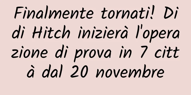 Finalmente tornati! Didi Hitch inizierà l'operazione di prova in 7 città dal 20 novembre