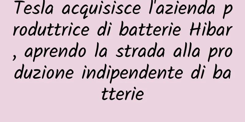 Tesla acquisisce l'azienda produttrice di batterie Hibar, aprendo la strada alla produzione indipendente di batterie
