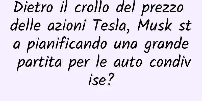 Dietro il crollo del prezzo delle azioni Tesla, Musk sta pianificando una grande partita per le auto condivise?