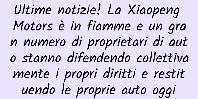 Ultime notizie! La Xiaopeng Motors è in fiamme e un gran numero di proprietari di auto stanno difendendo collettivamente i propri diritti e restituendo le proprie auto oggi
