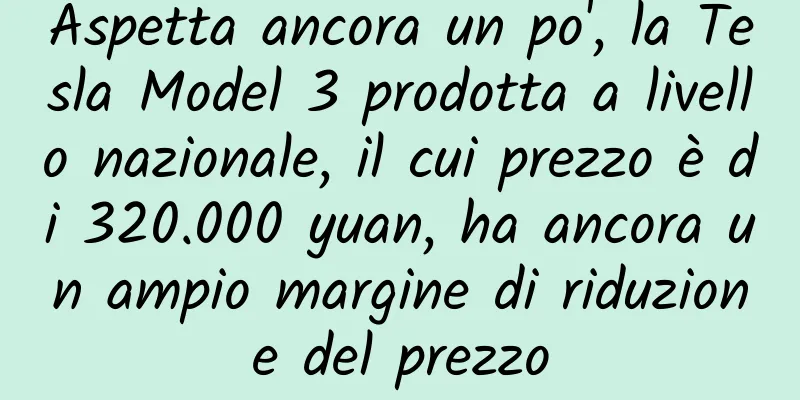 Aspetta ancora un po', la Tesla Model 3 prodotta a livello nazionale, il cui prezzo è di 320.000 yuan, ha ancora un ampio margine di riduzione del prezzo