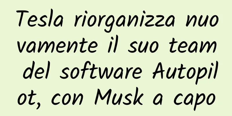 Tesla riorganizza nuovamente il suo team del software Autopilot, con Musk a capo