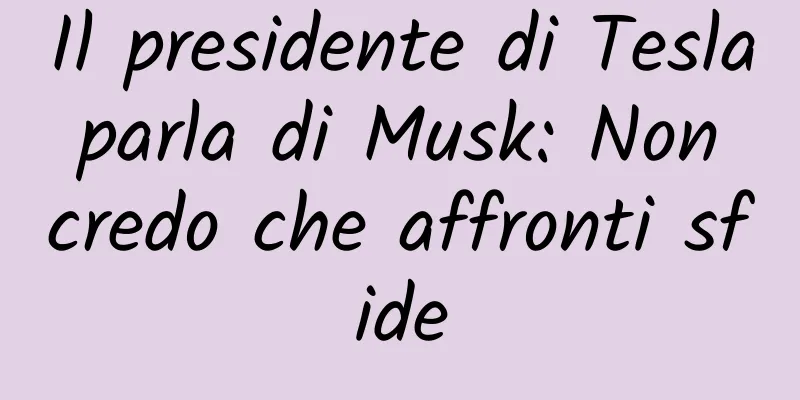 Il presidente di Tesla parla di Musk: Non credo che affronti sfide