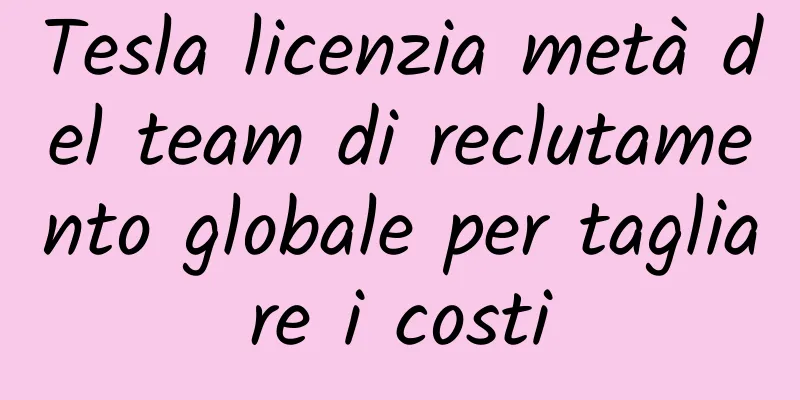Tesla licenzia metà del team di reclutamento globale per tagliare i costi