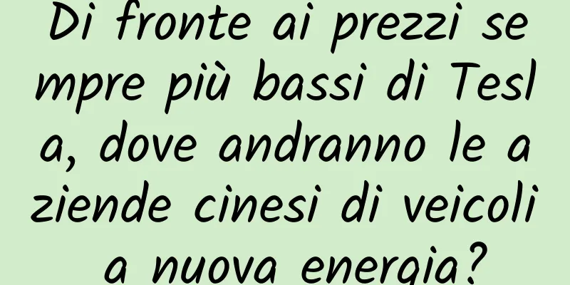 Di fronte ai prezzi sempre più bassi di Tesla, dove andranno le aziende cinesi di veicoli a nuova energia?