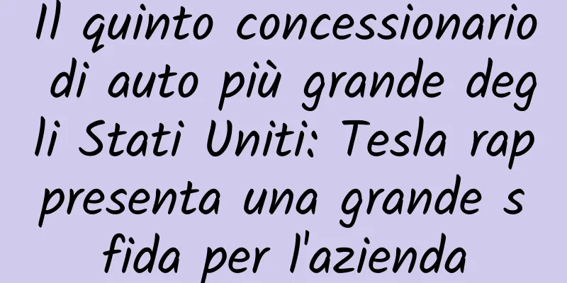 Il quinto concessionario di auto più grande degli Stati Uniti: Tesla rappresenta una grande sfida per l'azienda