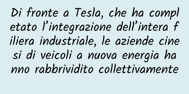 Di fronte a Tesla, che ha completato l’integrazione dell’intera filiera industriale, le aziende cinesi di veicoli a nuova energia hanno rabbrividito collettivamente