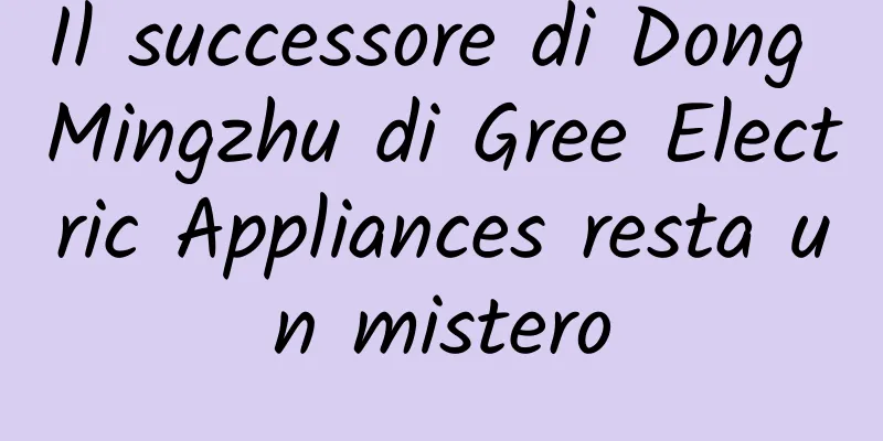 Il successore di Dong Mingzhu di Gree Electric Appliances resta un mistero