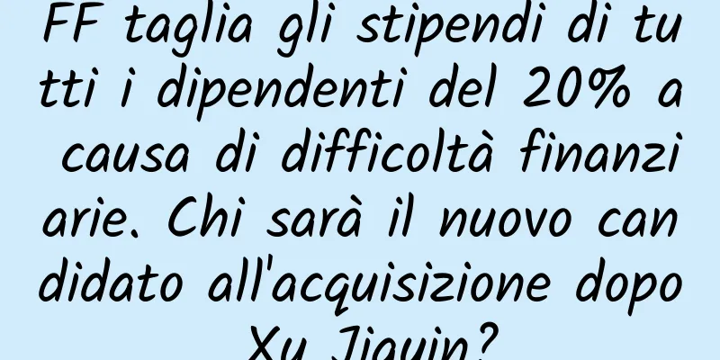 FF taglia gli stipendi di tutti i dipendenti del 20% a causa di difficoltà finanziarie. Chi sarà il nuovo candidato all'acquisizione dopo Xu Jiayin?