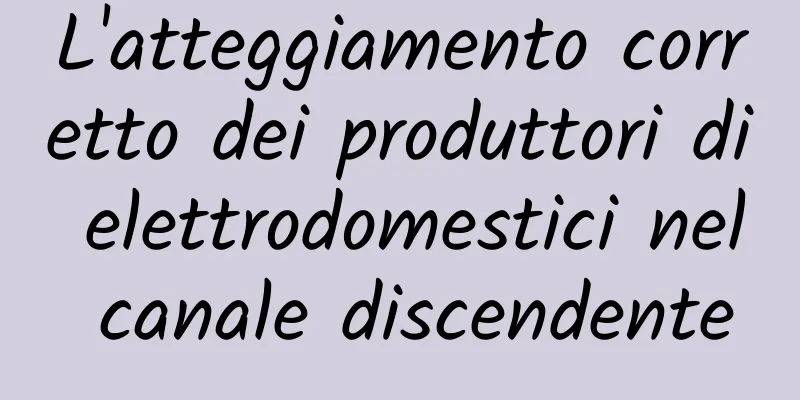 L'atteggiamento corretto dei produttori di elettrodomestici nel canale discendente