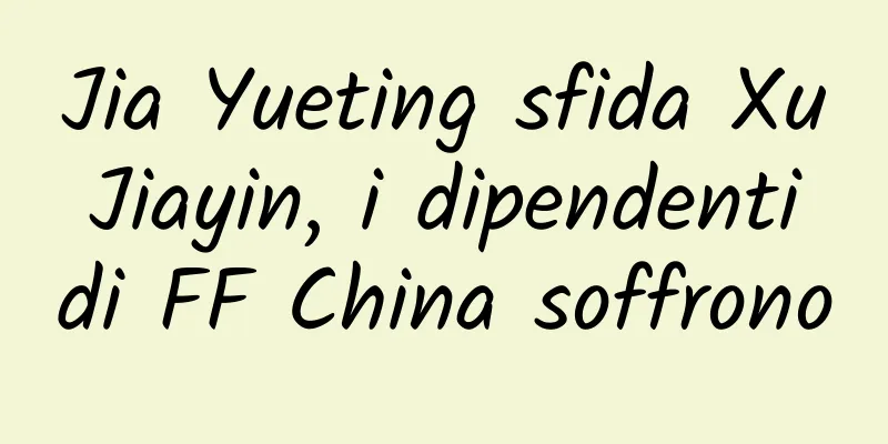 Jia Yueting sfida Xu Jiayin, i dipendenti di FF China soffrono