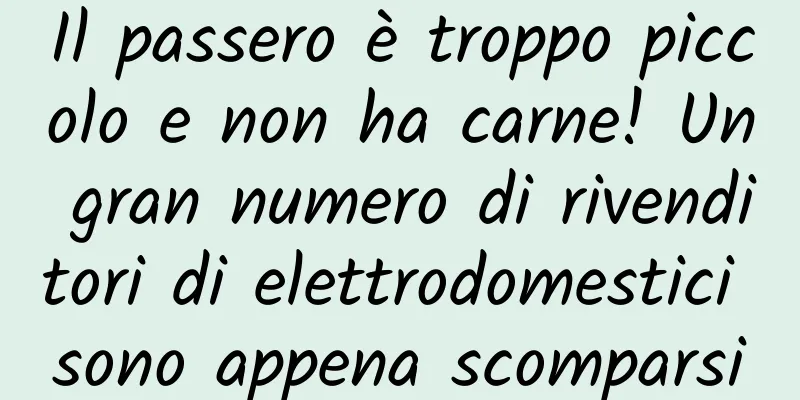 Il passero è troppo piccolo e non ha carne! Un gran numero di rivenditori di elettrodomestici sono appena scomparsi