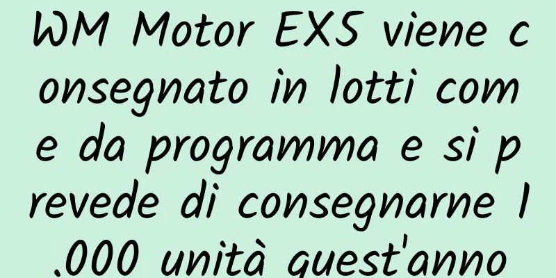 WM Motor EX5 viene consegnato in lotti come da programma e si prevede di consegnarne 1.000 unità quest'anno