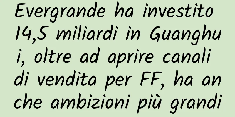 Evergrande ha investito 14,5 miliardi in Guanghui, oltre ad aprire canali di vendita per FF, ha anche ambizioni più grandi