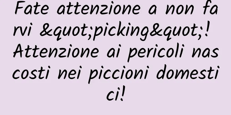 Fate attenzione a non farvi "picking"! Attenzione ai pericoli nascosti nei piccioni domestici!