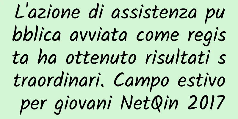 L'azione di assistenza pubblica avviata come regista ha ottenuto risultati straordinari. Campo estivo per giovani NetQin 2017