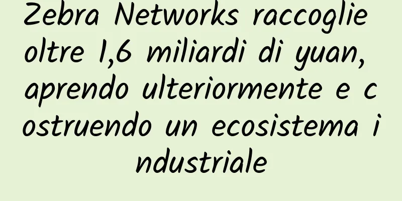 Zebra Networks raccoglie oltre 1,6 miliardi di yuan, aprendo ulteriormente e costruendo un ecosistema industriale