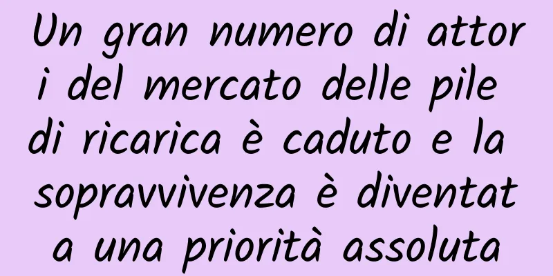 Un gran numero di attori del mercato delle pile di ricarica è caduto e la sopravvivenza è diventata una priorità assoluta