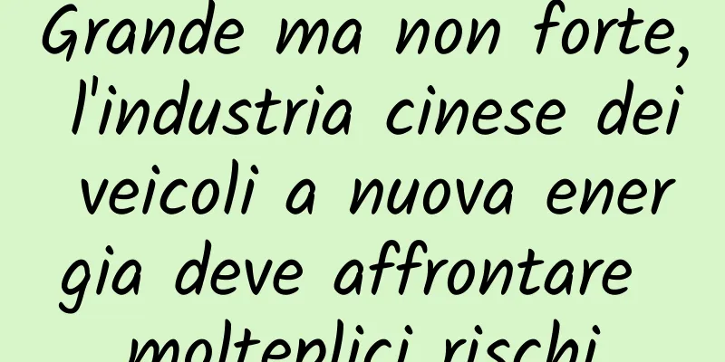 Grande ma non forte, l'industria cinese dei veicoli a nuova energia deve affrontare molteplici rischi