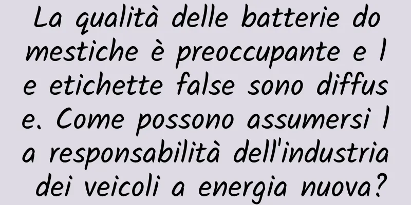 La qualità delle batterie domestiche è preoccupante e le etichette false sono diffuse. Come possono assumersi la responsabilità dell'industria dei veicoli a energia nuova?