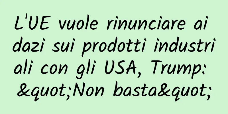 L'UE vuole rinunciare ai dazi sui prodotti industriali con gli USA, Trump: "Non basta"