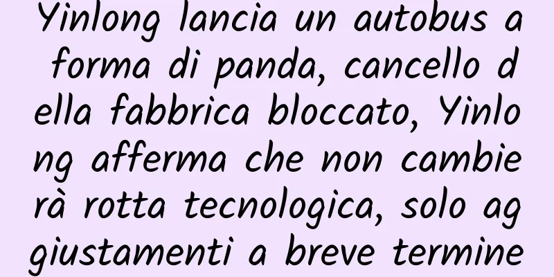 Yinlong lancia un autobus a forma di panda, cancello della fabbrica bloccato, Yinlong afferma che non cambierà rotta tecnologica, solo aggiustamenti a breve termine