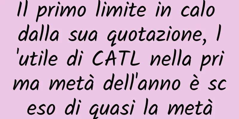 Il primo limite in calo dalla sua quotazione, l'utile di CATL nella prima metà dell'anno è sceso di quasi la metà