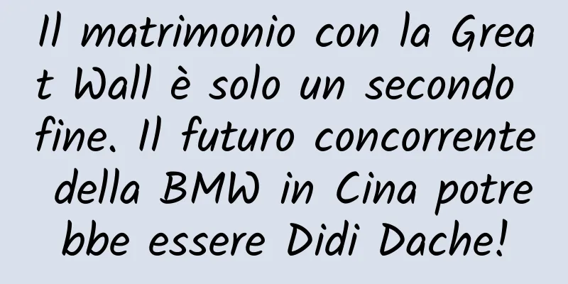 Il matrimonio con la Great Wall è solo un secondo fine. Il futuro concorrente della BMW in Cina potrebbe essere Didi Dache!