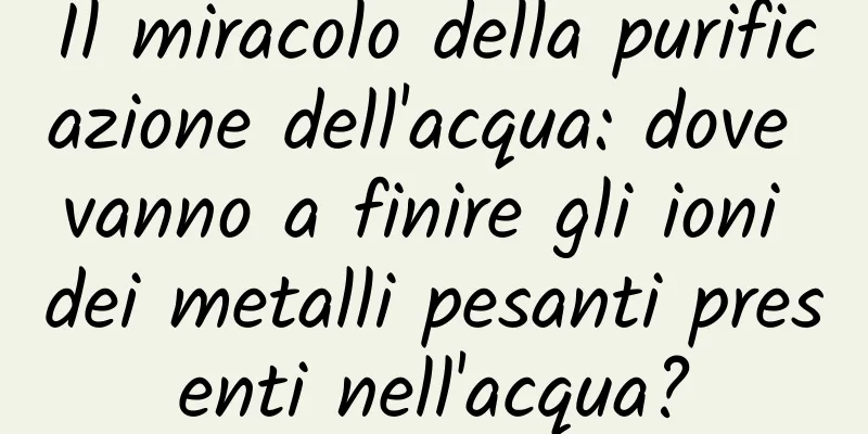 Il miracolo della purificazione dell'acqua: dove vanno a finire gli ioni dei metalli pesanti presenti nell'acqua?