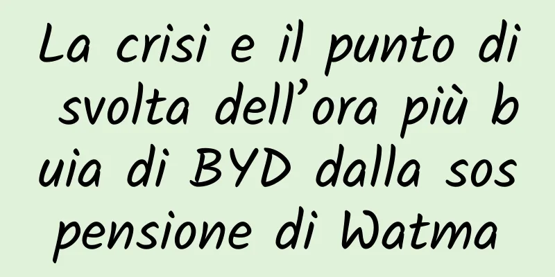 La crisi e il punto di svolta dell’ora più buia di BYD dalla sospensione di Watma
