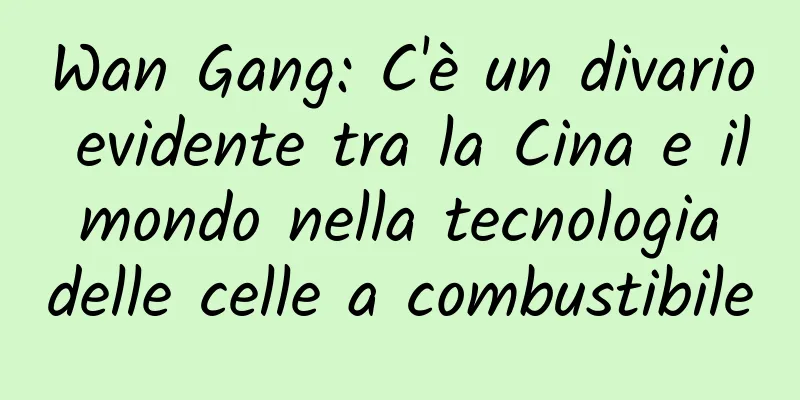 Wan Gang: C'è un divario evidente tra la Cina e il mondo nella tecnologia delle celle a combustibile