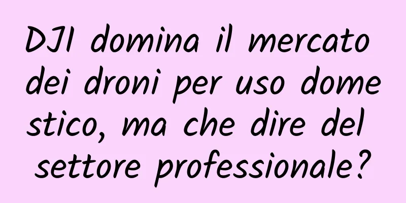 DJI domina il mercato dei droni per uso domestico, ma che dire del settore professionale?