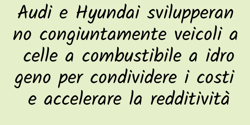 Audi e Hyundai svilupperanno congiuntamente veicoli a celle a combustibile a idrogeno per condividere i costi e accelerare la redditività
