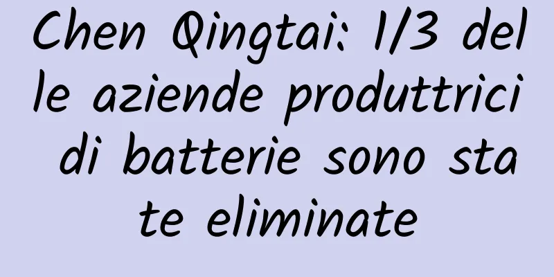 Chen Qingtai: 1/3 delle aziende produttrici di batterie sono state eliminate