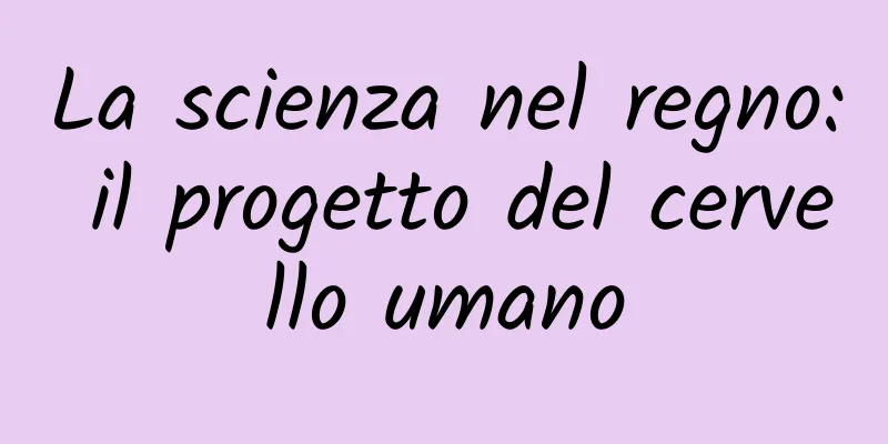 La scienza nel regno: il progetto del cervello umano