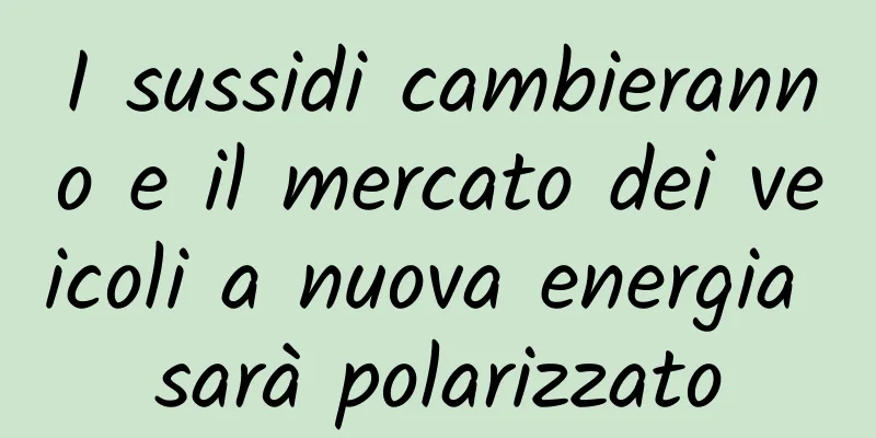 I sussidi cambieranno e il mercato dei veicoli a nuova energia sarà polarizzato