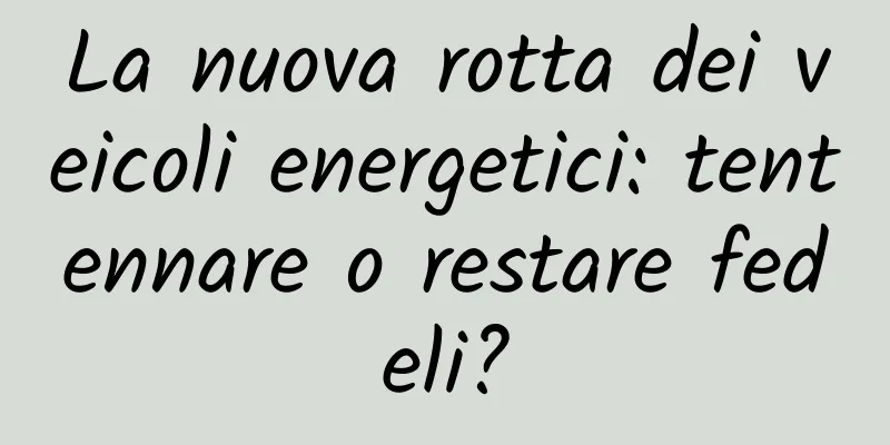 La nuova rotta dei veicoli energetici: tentennare o restare fedeli?