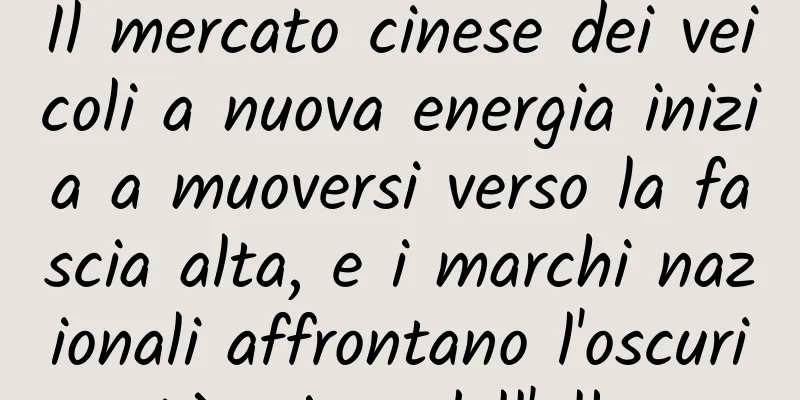 Il mercato cinese dei veicoli a nuova energia inizia a muoversi verso la fascia alta, e i marchi nazionali affrontano l'oscurità prima dell'alba