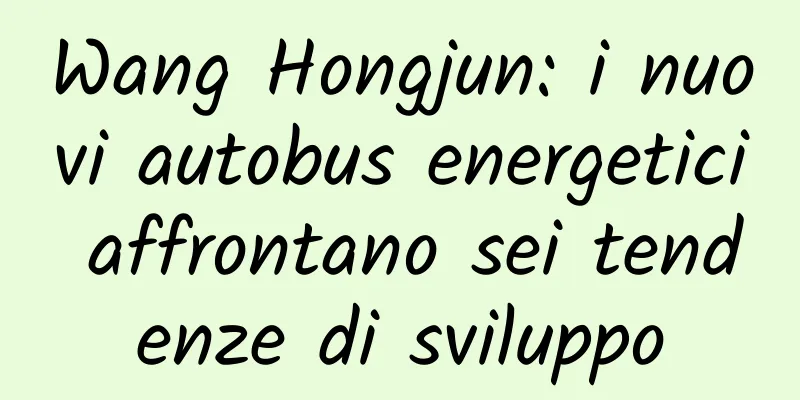 Wang Hongjun: i nuovi autobus energetici affrontano sei tendenze di sviluppo