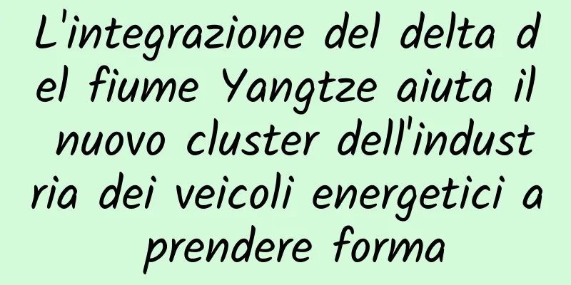 L'integrazione del delta del fiume Yangtze aiuta il nuovo cluster dell'industria dei veicoli energetici a prendere forma